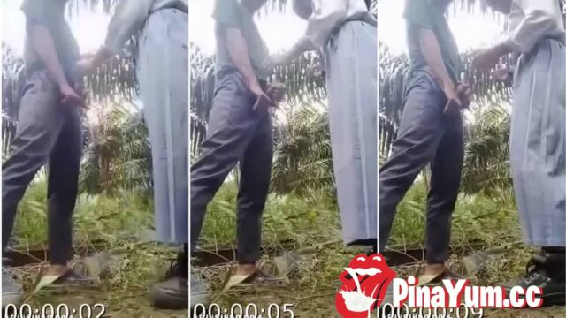 Pinatanggal Sa Madre Ang Tahi Ng Bagong Tule
